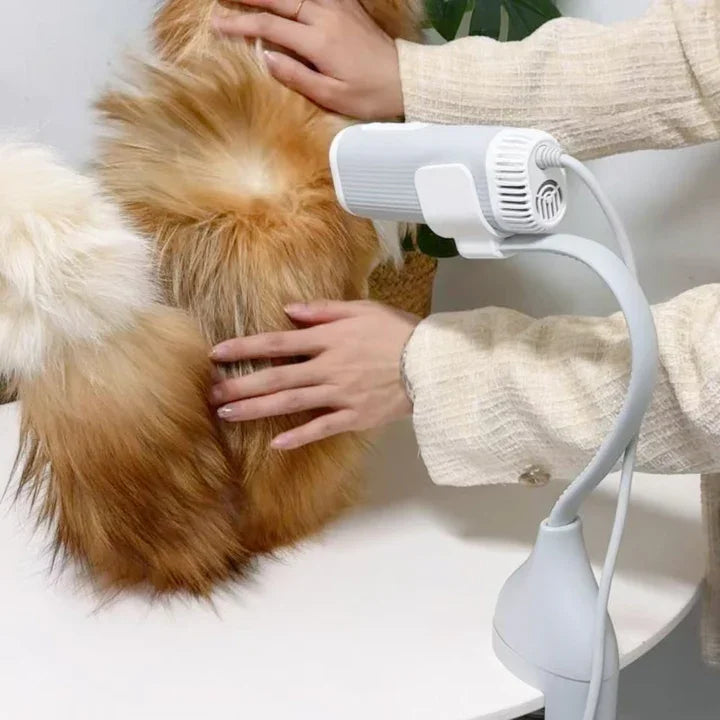 Secador de Pelo para Mascotas, Máquina Sopladora de Agua, Secador de Pelo para Mascotas con Soporte de Escritorio, Cuello Colgante, Manos Libres - My Store